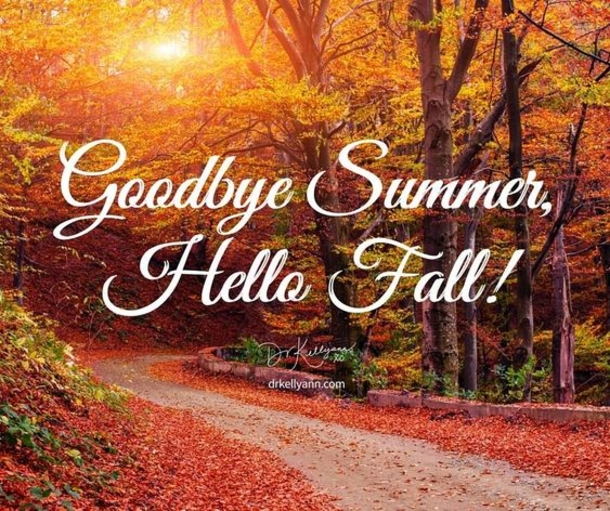 100 Of The Best Inspirational Hello Fall Quotes And Sayings - picture 33