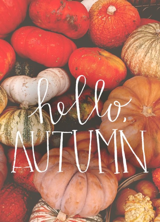 100 Of The Best Inspirational Hello Fall Quotes And Sayings - picture 35