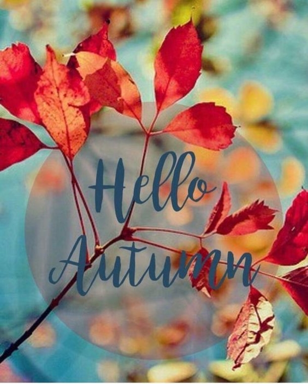 100 Of The Best Inspirational Hello Fall Quotes And Sayings - picture 37