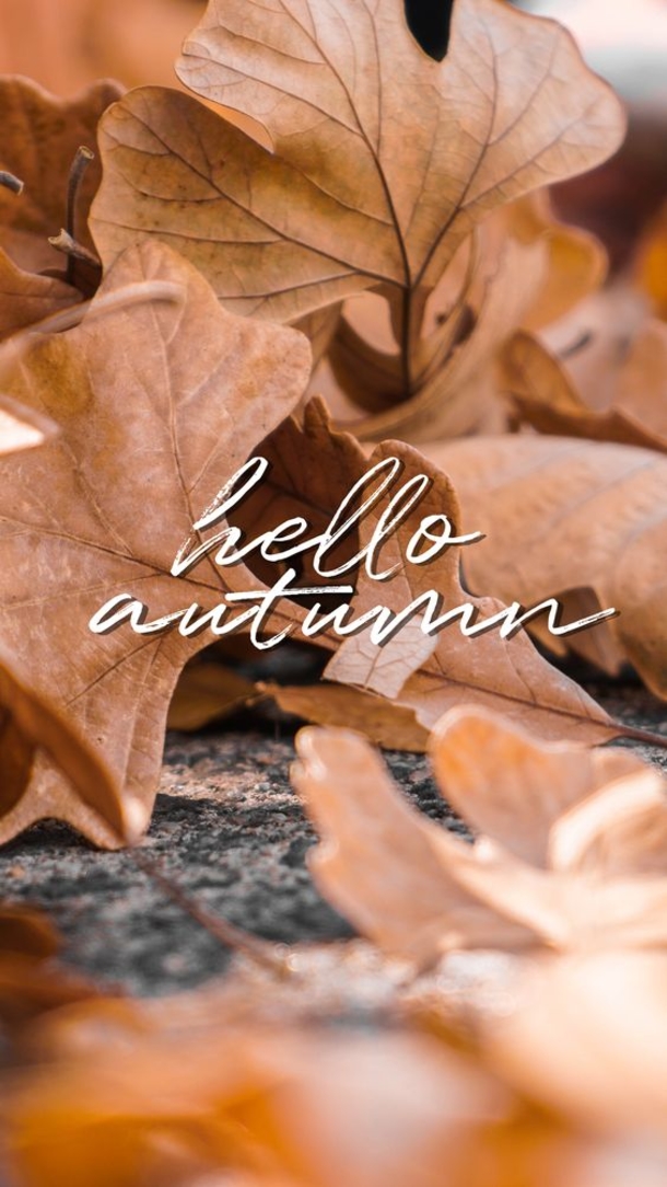 100 Of The Best Inspirational Hello Fall Quotes And Sayings - picture 38