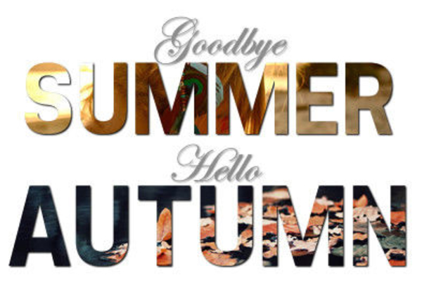 100 Of The Best Inspirational Hello Fall Quotes And Sayings - picture 42