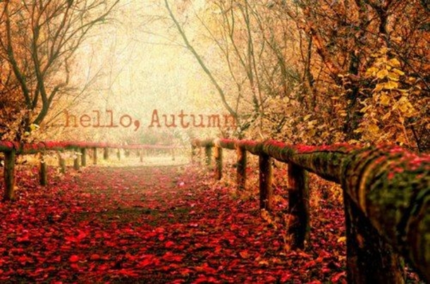 100 Of The Best Inspirational Hello Fall Quotes And Sayings - picture 47