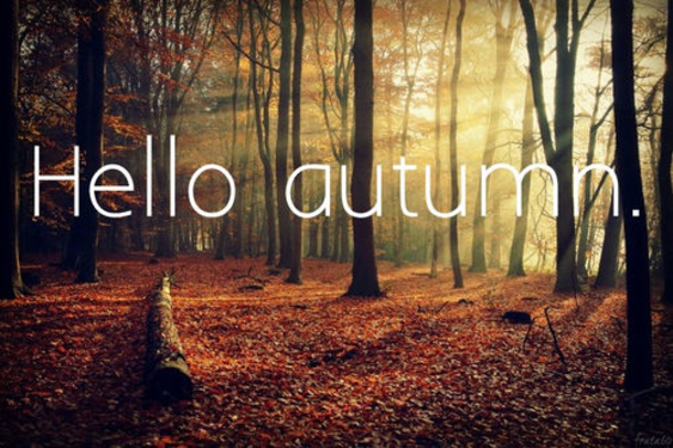 100 Of The Best Inspirational Hello Fall Quotes And Sayings - picture 48