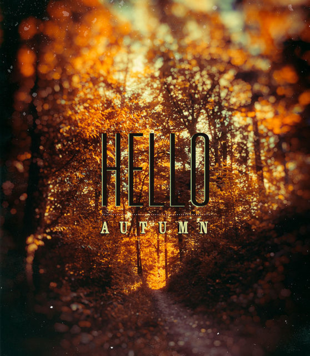 100 Of The Best Inspirational Hello Fall Quotes And Sayings - picture 53