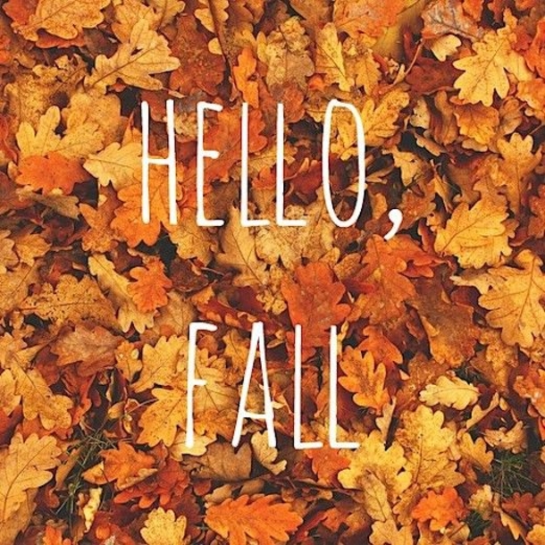 100 Of The Best Inspirational Hello Fall Quotes And Sayings - picture 55
