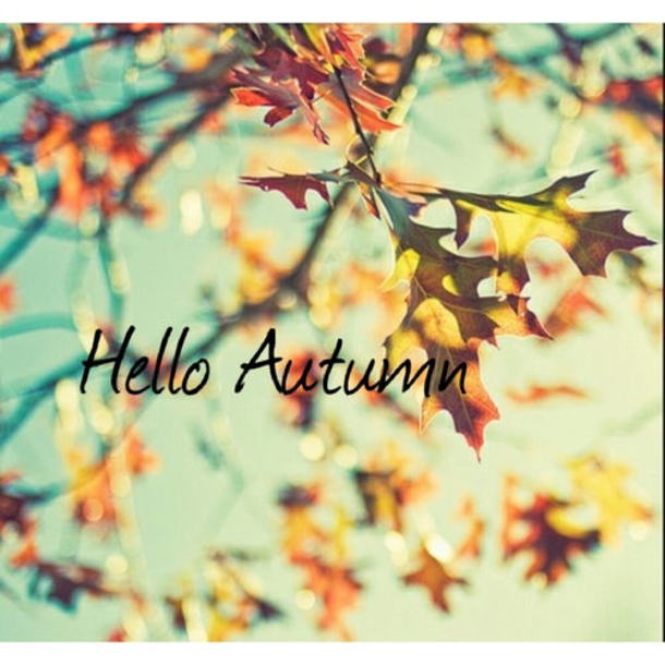 100 Of The Best Inspirational Hello Fall Quotes And Sayings - picture 60