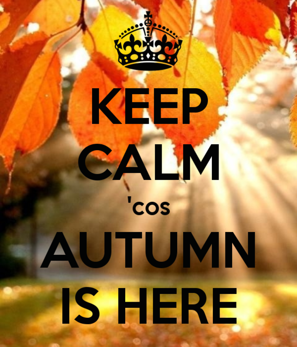 100 Of The Best Inspirational Hello Fall Quotes And Sayings - picture 68