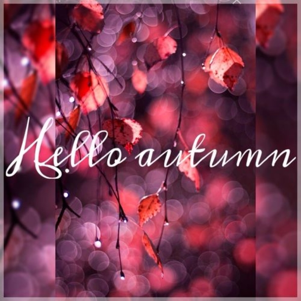 100 Of The Best Inspirational Hello Fall Quotes And Sayings - picture 76