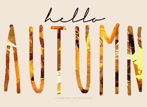 100 Of The Best Inspirational Hello Fall Quotes And Sayings - picture 77