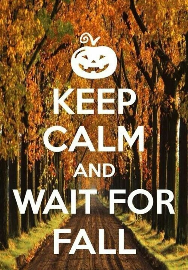 100 Of The Best Inspirational Hello Fall Quotes And Sayings - picture 82