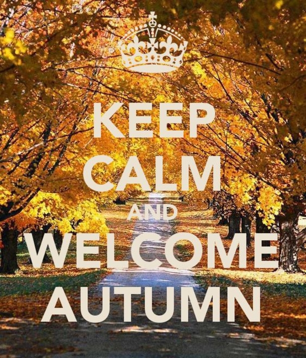 100 Of The Best Inspirational Hello Fall Quotes And Sayings - picture 83