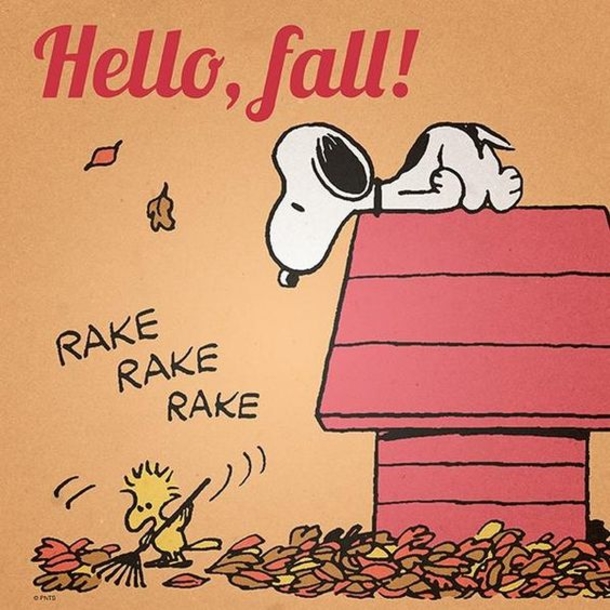 100 Of The Best Inspirational Hello Fall Quotes And Sayings - picture 86