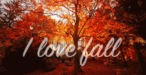 100 Of The Best Inspirational Hello Fall Quotes And Sayings - picture 94
