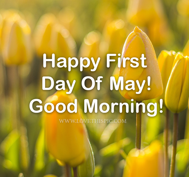 100 Perfect Good Morning, Happy First Day Of May Quotes To Start Your Month Right - picture 10