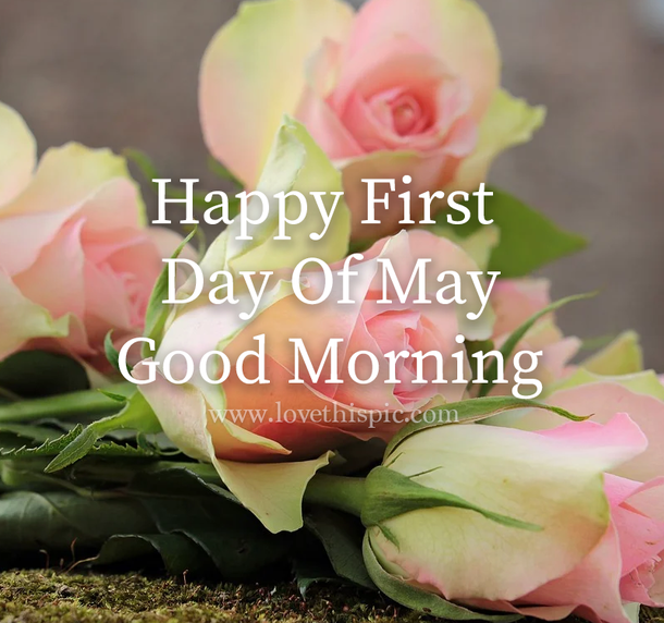 100 Perfect Good Morning, Happy First Day Of May Quotes To Start Your Month Right - picture 12