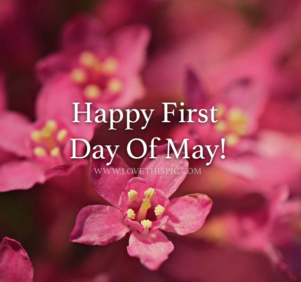 100 Perfect Good Morning, Happy First Day Of May Quotes To Start Your Month Right - picture 15