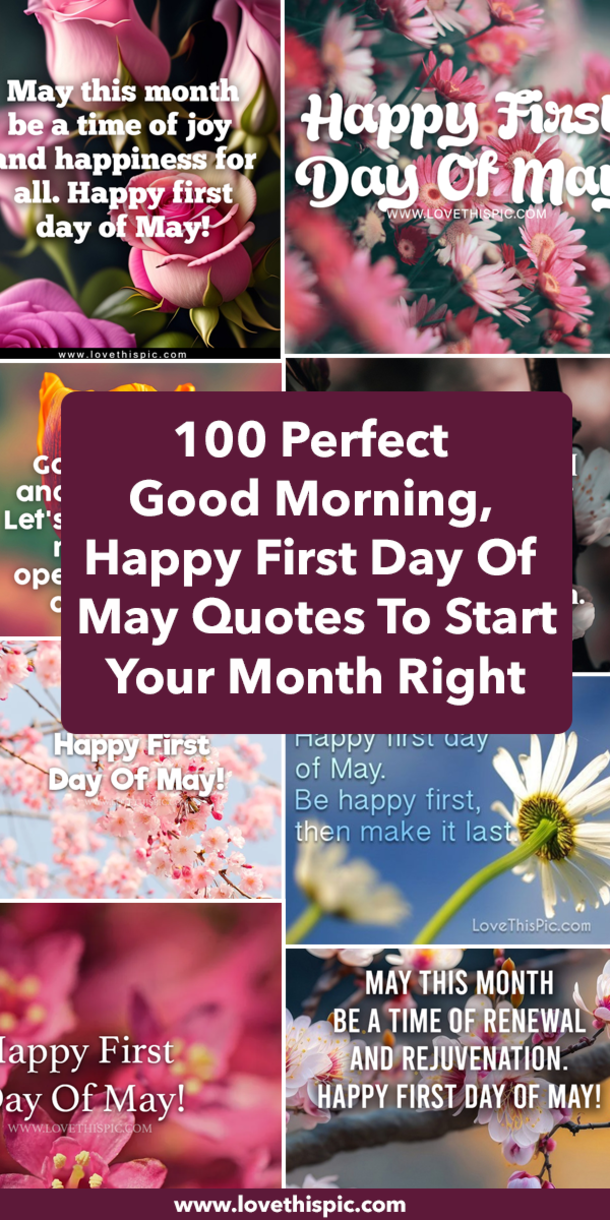 100 Perfect Good Morning, Happy First Day Of May Quotes To Start Your Month Right - picture 17