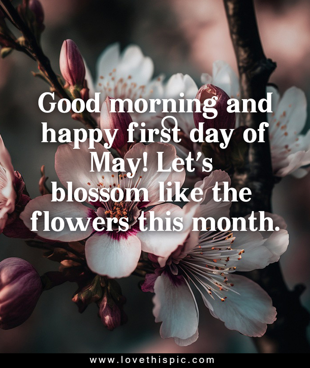 100 Perfect Good Morning, Happy First Day Of May Quotes To Start Your Month Right - picture 2