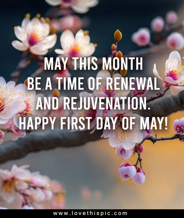 100 Perfect Good Morning, Happy First Day Of May Quotes To Start Your Month Right - picture 4