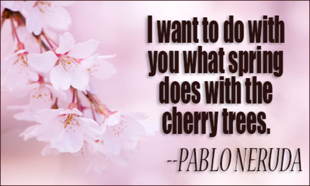100 Quotes To Get You Ready For Spring - picture 100