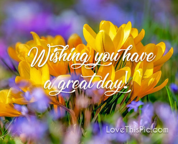 100 Quotes To Get You Ready For Spring - picture 102