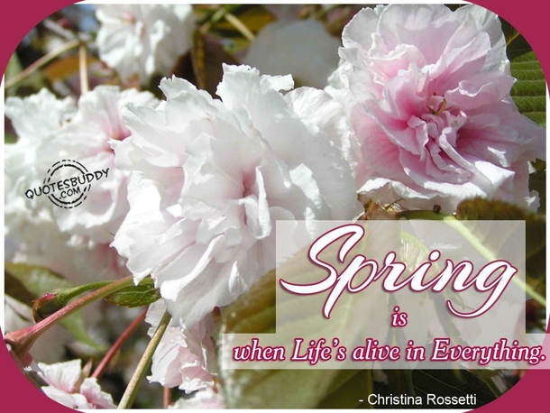 100 Quotes To Get You Ready For Spring - picture 107
