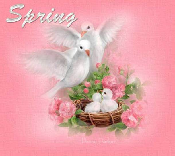 100 Quotes To Get You Ready For Spring - picture 15