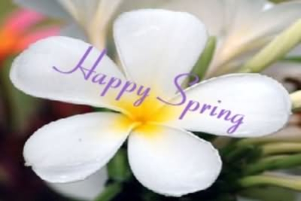 100 Quotes To Get You Ready For Spring - picture 17