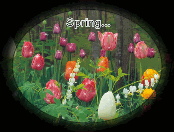 100 Quotes To Get You Ready For Spring - picture 22