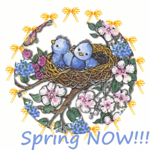 100 Quotes To Get You Ready For Spring - picture 24