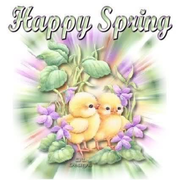 100 Quotes To Get You Ready For Spring - picture 40