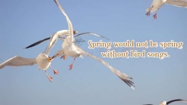100 Quotes To Get You Ready For Spring - picture 51