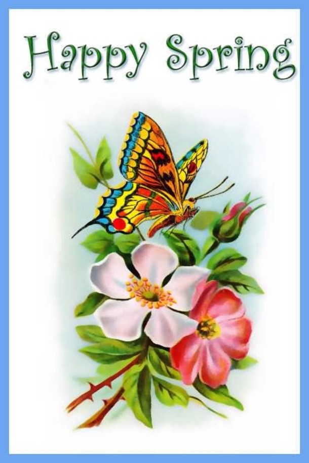 100 Quotes To Get You Ready For Spring - picture 7