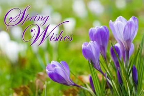 100 Quotes To Get You Ready For Spring - picture 72