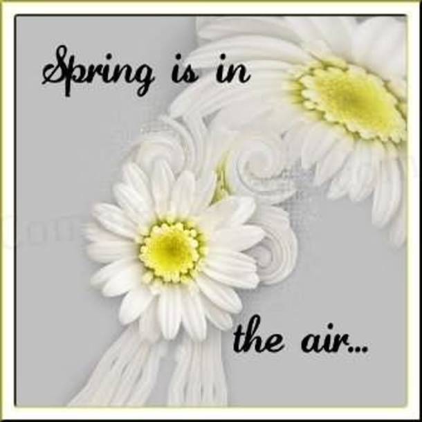 100 Quotes To Get You Ready For Spring - picture 74