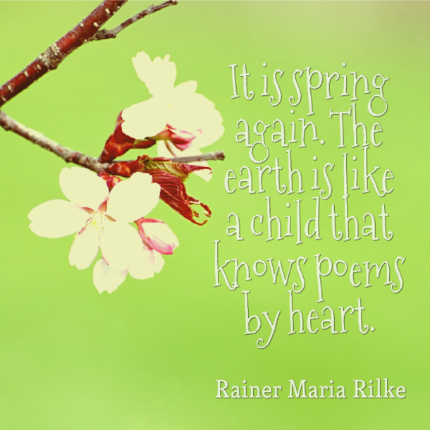 100 Quotes To Get You Ready For Spring - picture 79