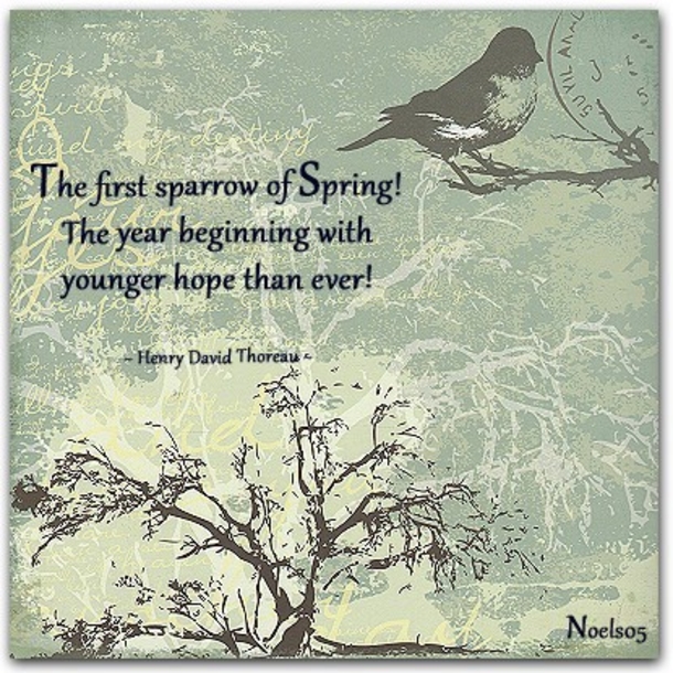 100 Quotes To Get You Ready For Spring - picture 81