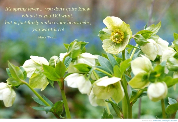 100 Quotes To Get You Ready For Spring - picture 82