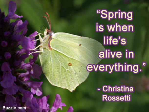100 Quotes To Get You Ready For Spring - picture 86