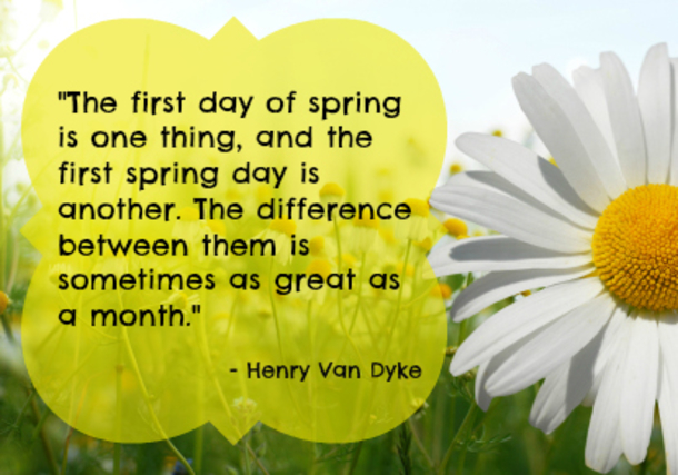 100 Quotes To Get You Ready For Spring - picture 89