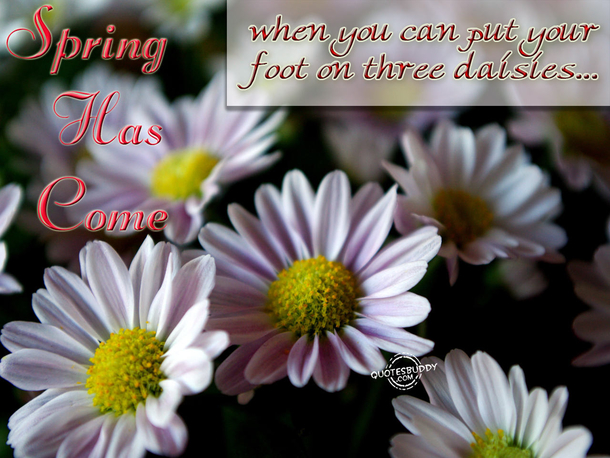100 Quotes To Get You Ready For Spring - picture 91