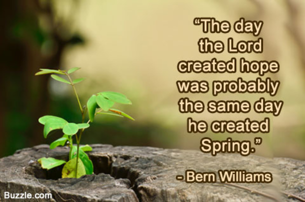100 Quotes To Get You Ready For Spring - picture 92