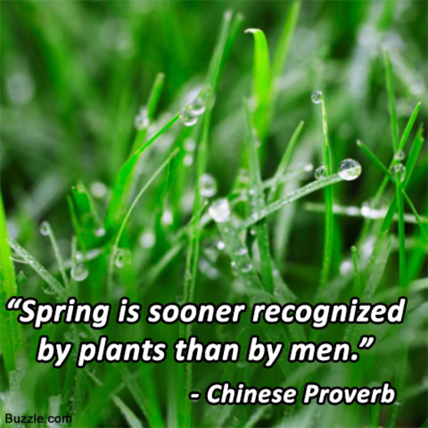 100 Quotes To Get You Ready For Spring - picture 93
