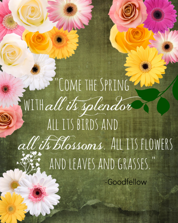 100 Quotes To Get You Ready For Spring - picture 94