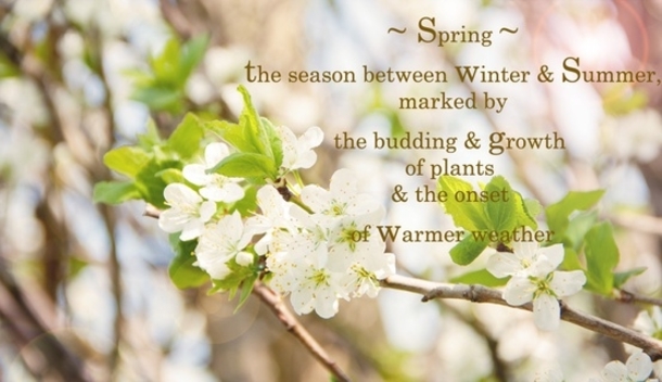 100 Quotes To Get You Ready For Spring - picture 98