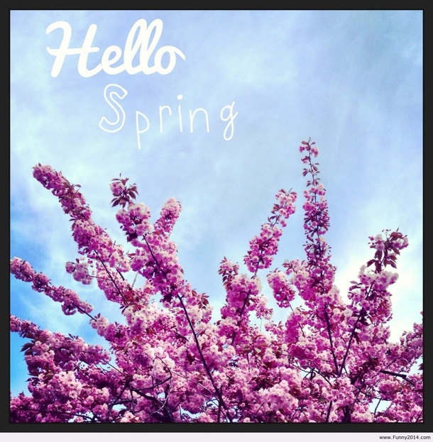100 Quotes To Get You Ready For Spring - picture 99