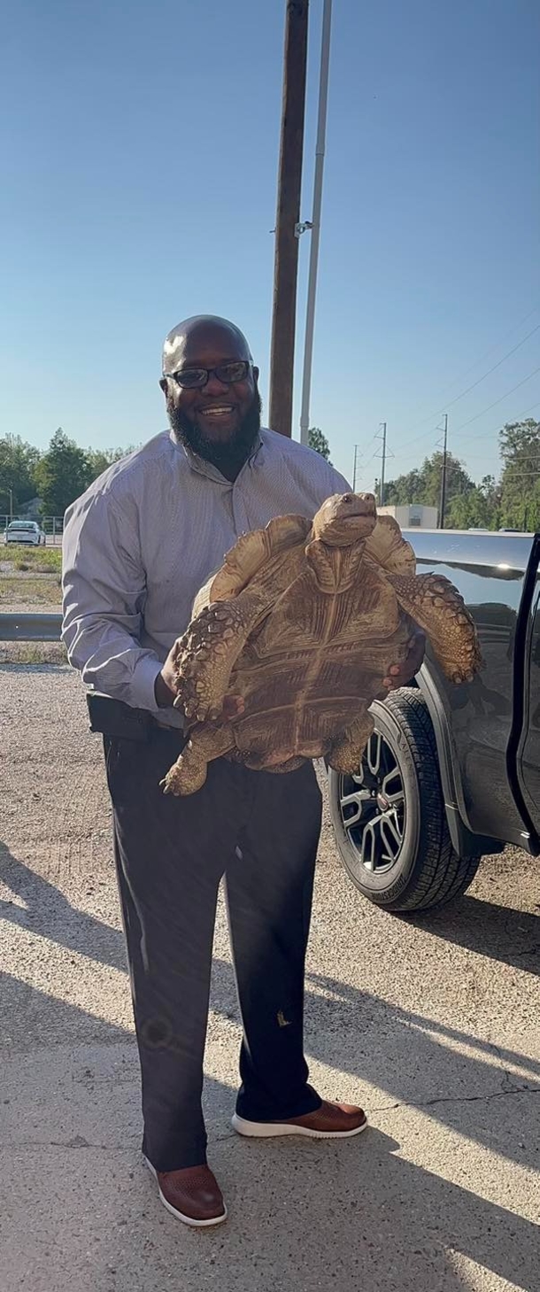 100-Year-Old Tortoise Makes It Home Safely After A Very Long, Adventure - picture 2