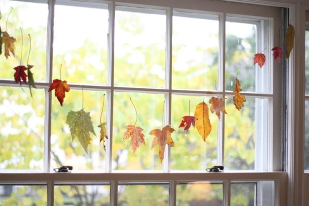 11 Autumn Decoration Ideas Using Leaves - picture 11