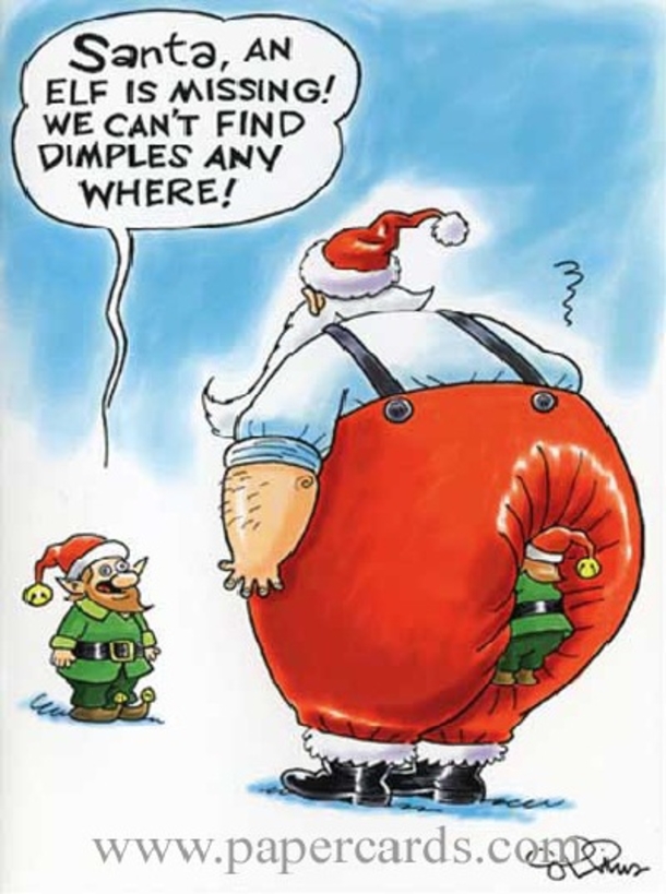 11 Funny Christmas Images And Pictures - picture 11