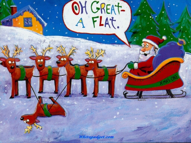 11 Funny Christmas Images And Pictures - picture 2